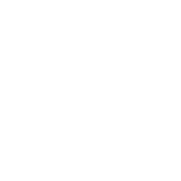 checkmark icon